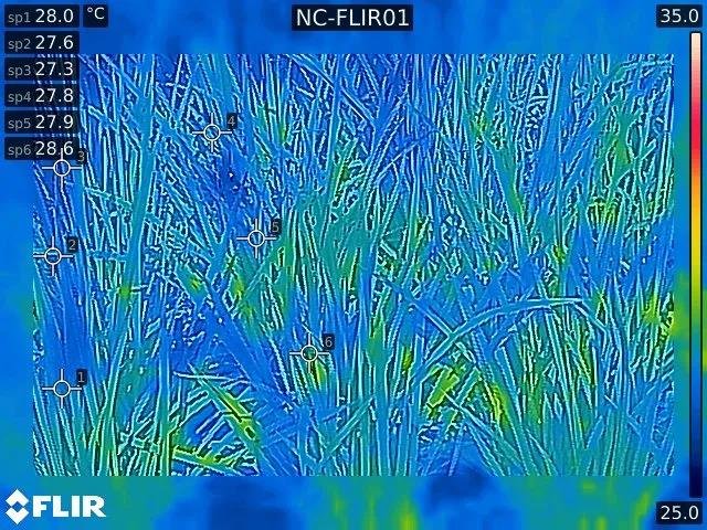 案例分析：FLIR AX8红外热像仪实时监控收集温度数据，助力农业自动化！